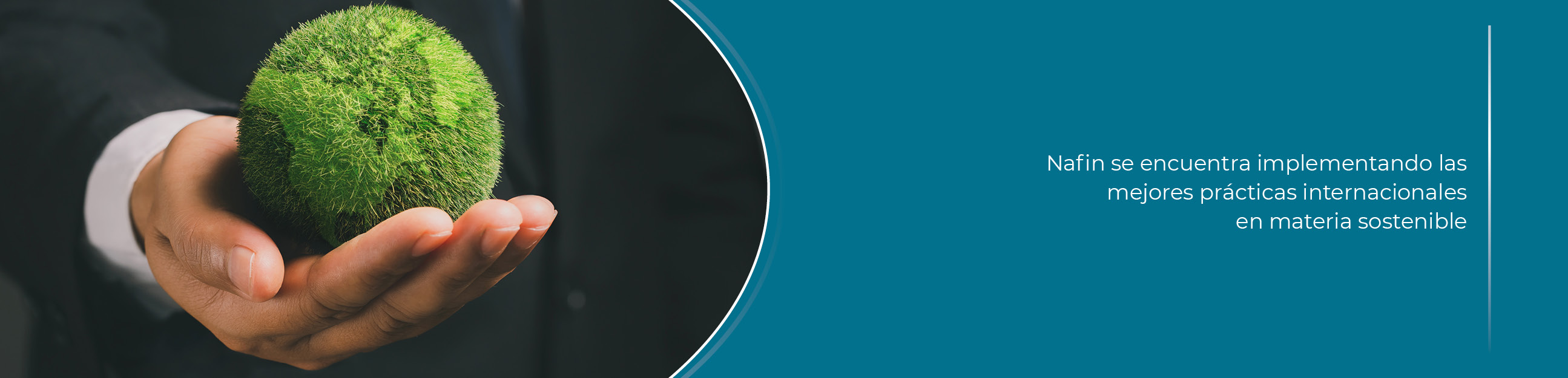 Texto alternativo - Gobierno Corporativo