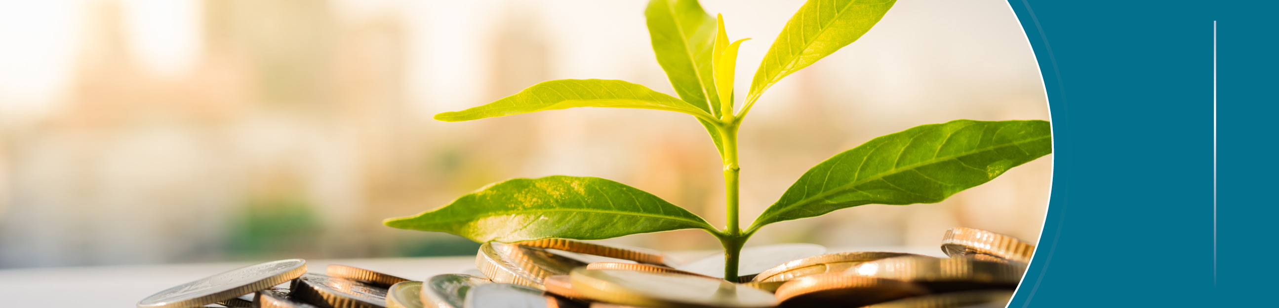 Financiamiento Sostenible