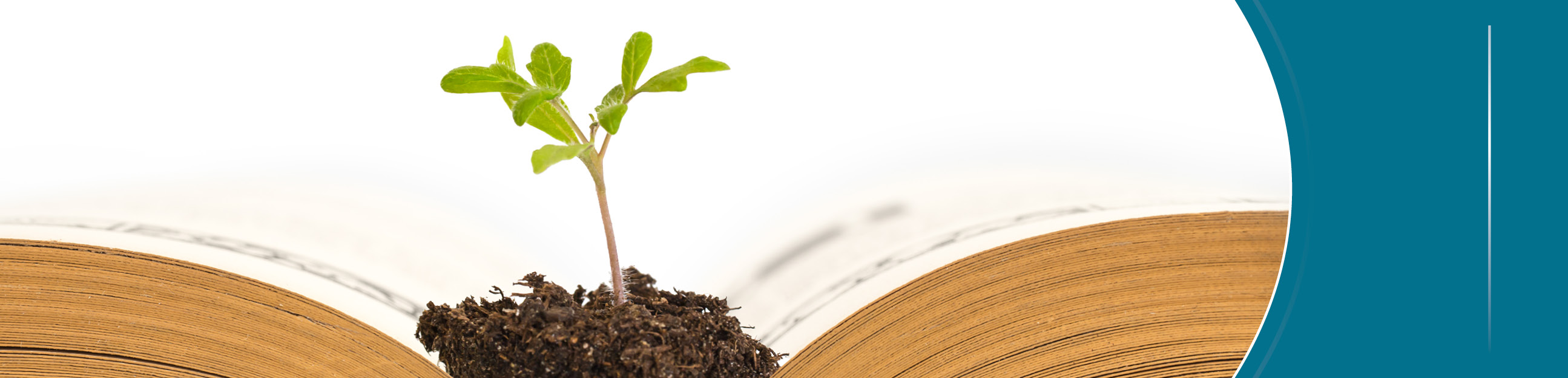 Gobernanza y Cultura