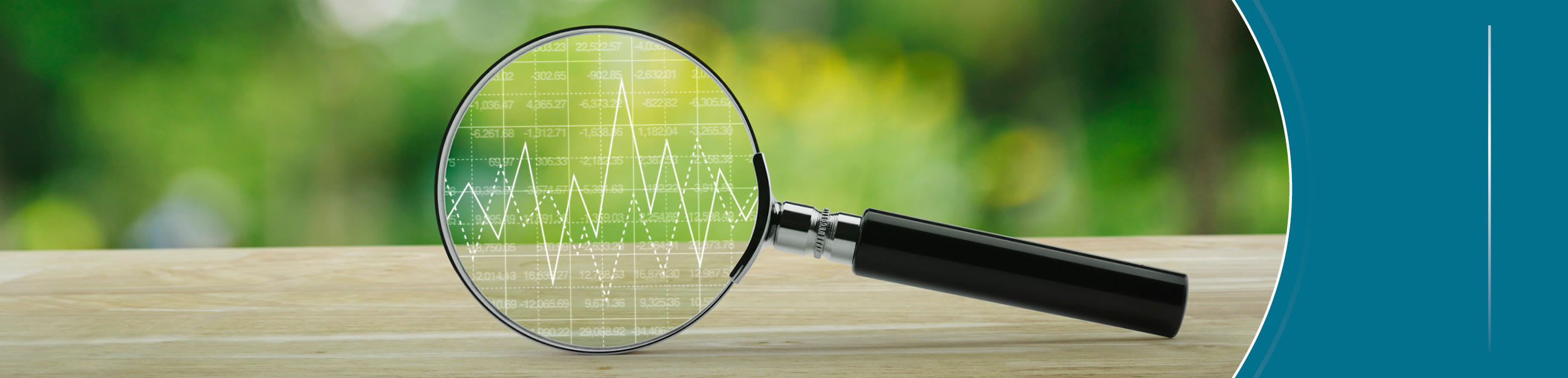 Transparencia y rendici&oacute;n de cuentas