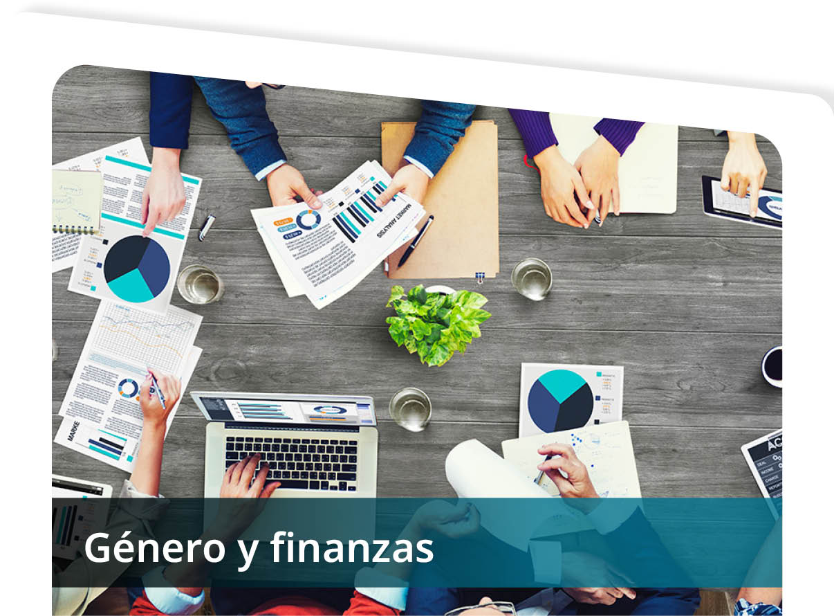 G�nero y finanzas Mini