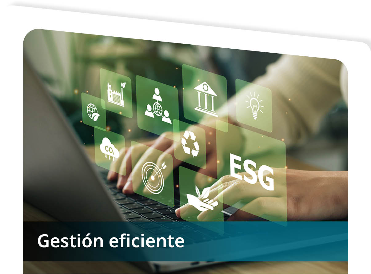 Gesti�n Eficiente Mini