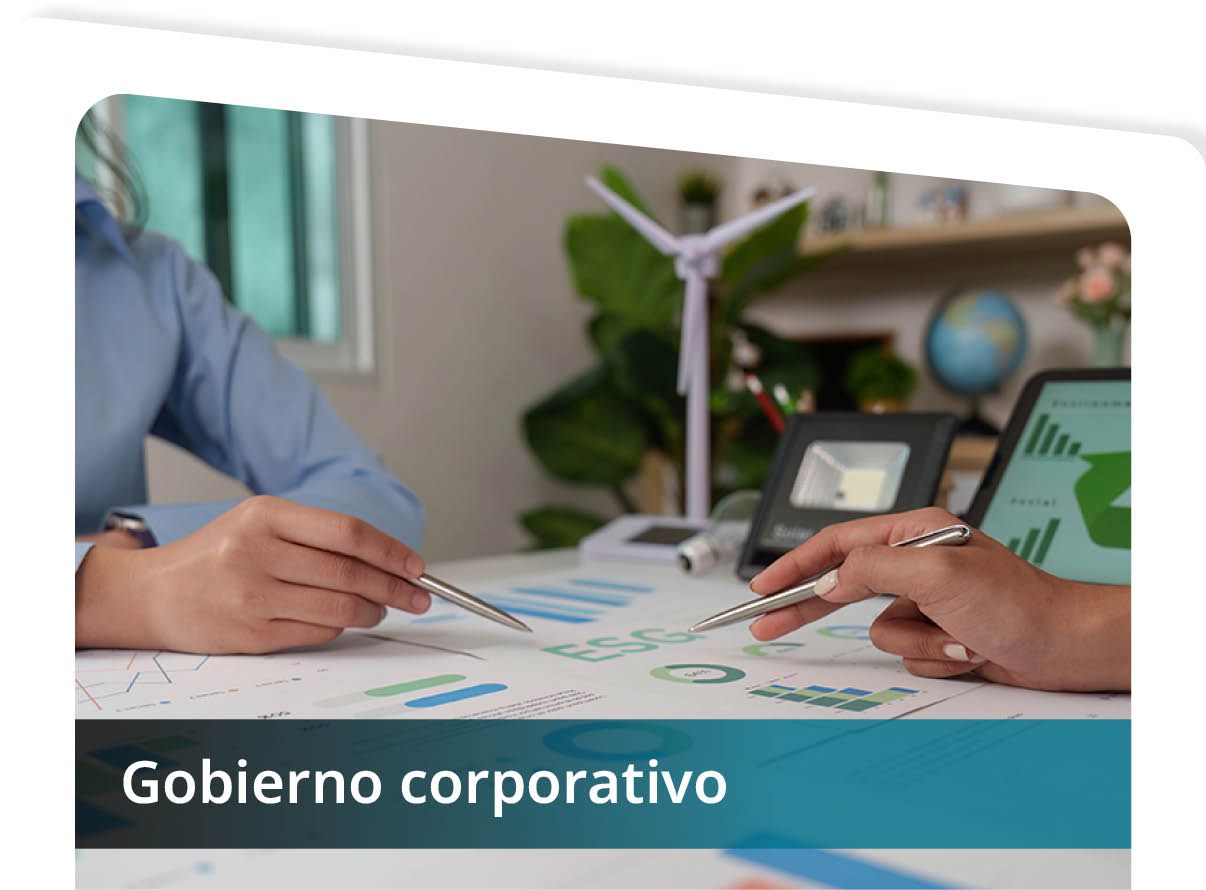 Gobierno Corporativo Mini