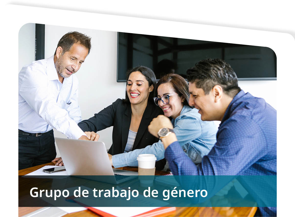 Grupo de Trabajo de G�nero Mini