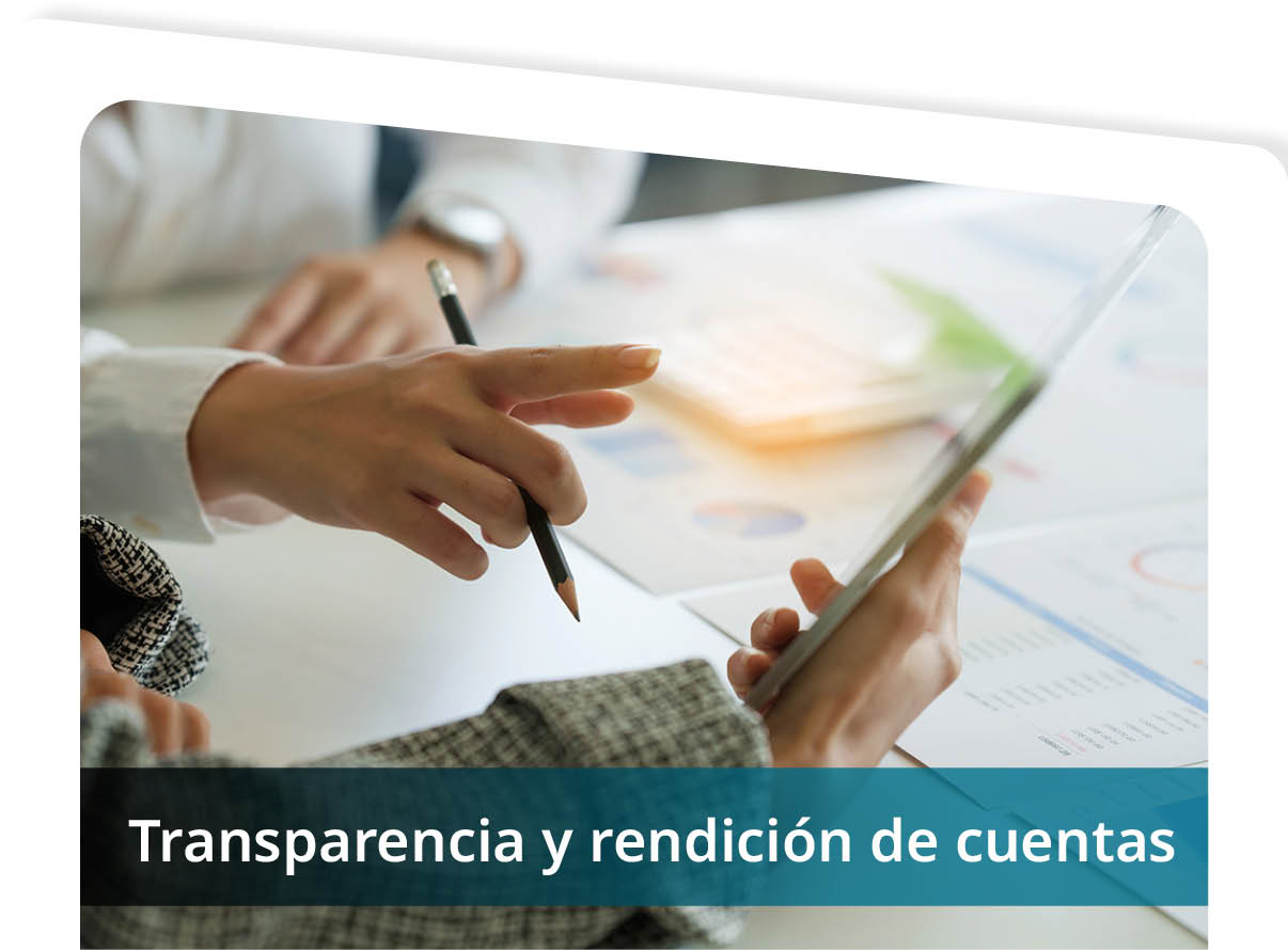 Transparencia y rendici�n de cuentas Mini