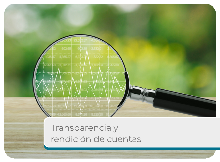 Transparencia y rendici�n de cuentas Mini
