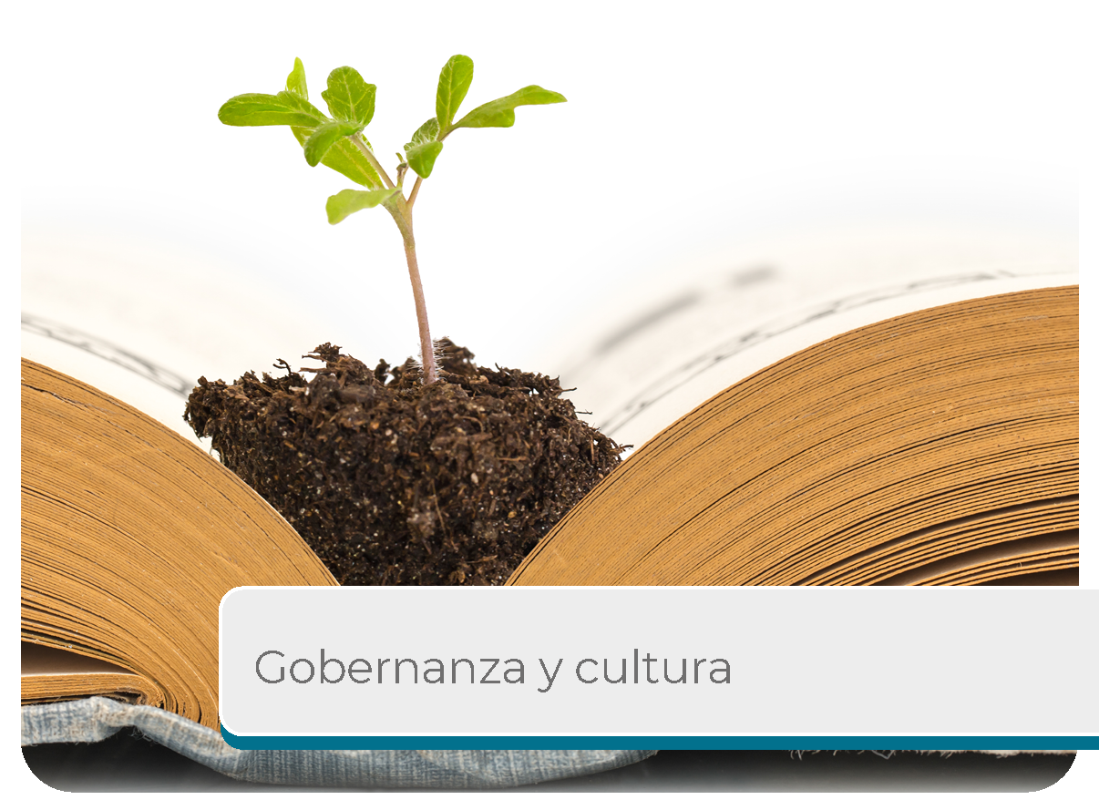 Gobernanza y Cultura Mini